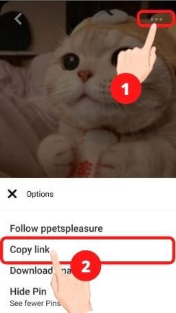 Pinterest Image Downloader